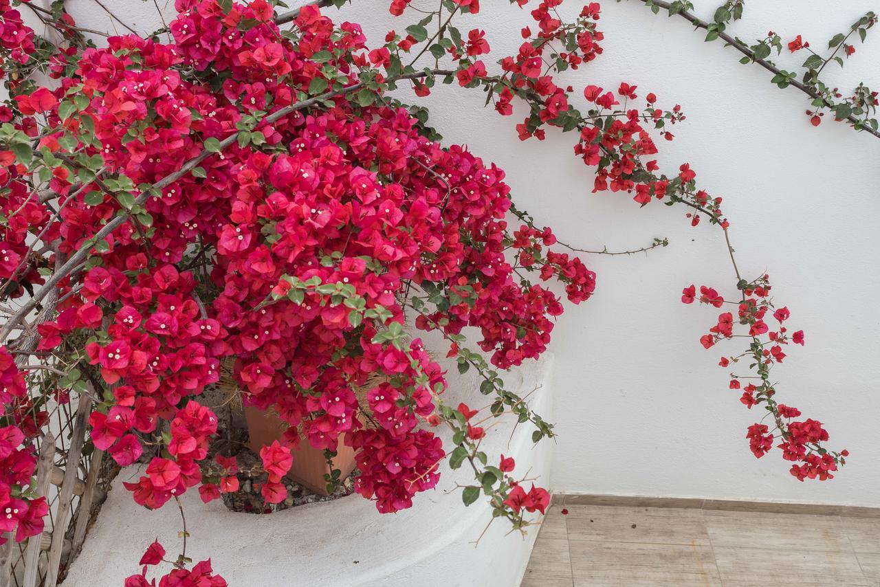 Depis Suites Naxos City Екстериор снимка
